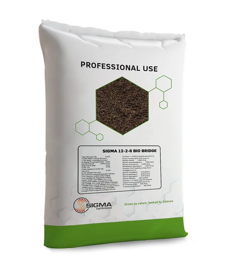 Sigma 12-2-6 Bio Bridge bag