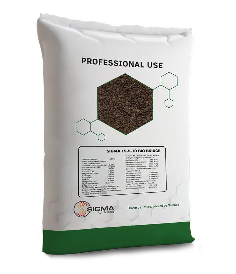 Sigma 15-5-10 Bio Bridge bag