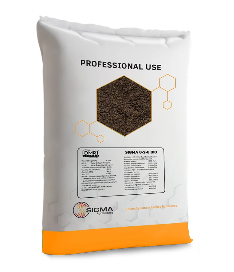 Sigma 6-2-6 Bio bag